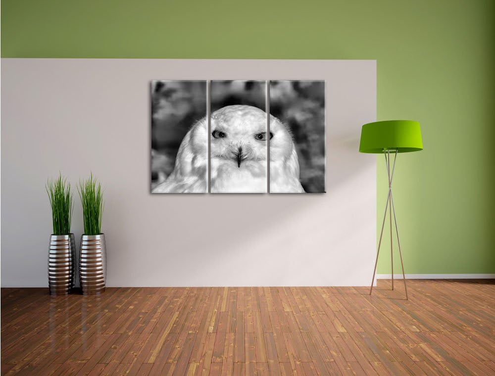 Prächtige schneeweisse Eule als Leinwandbild/Grösse: 3 Teilig (120x80) cm/Wandbild/Kunstdruck/fertig