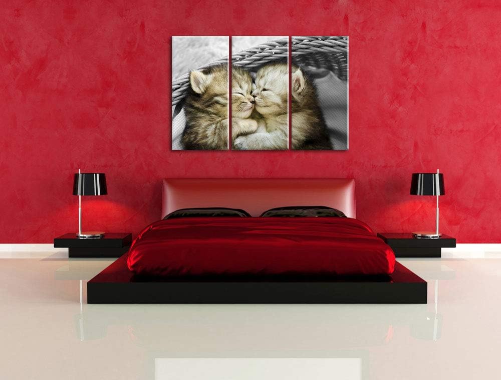 Pixxprint Zwei süsse Babykatzen im Korb als Leinwandbild | Grösse: 3 Teilig (120x80) | Wandbild| Kun