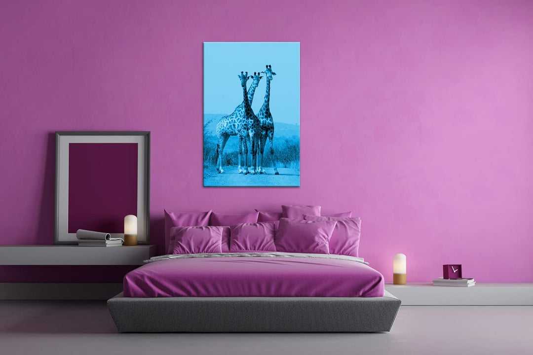 deyoli süsse Giraffen Format: 100x70 Effekt: Monocrome Blau als Leinwand, Motiv fertig gerahmt auf E
