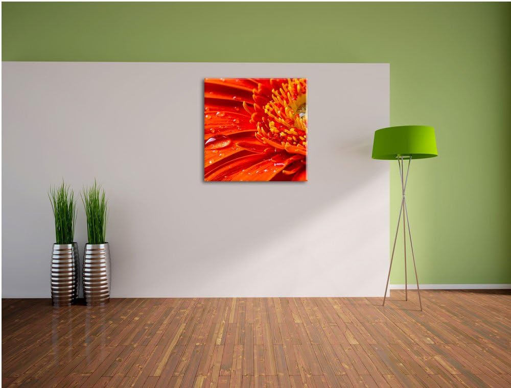 Gerbera mit Wassertropfen, Format: 70x70 auf Leinwand, XXL riesige Bilder fertig gerahmt mit Keilrah