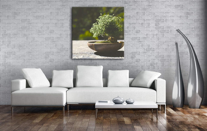 deyoli Kleiner niedlicher Bonsai Format: 60x60 als Leinwandbild, Motiv fertig gerahmt auf Echtholzra