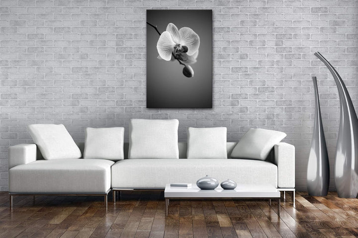 deyoli zauberhafte Orchidee Format: 100x70 Effekt: Schwarz&Weiss als Leinwandbild, Motiv fertig gera