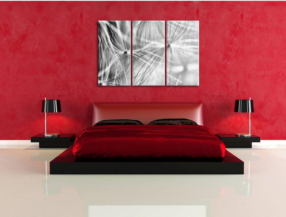 Pixxprint zarte Pusteblumenpollen als Leinwandbild/Grösse: 3 Teilig (120x80) cm/Wandbild/Kunstdruck/