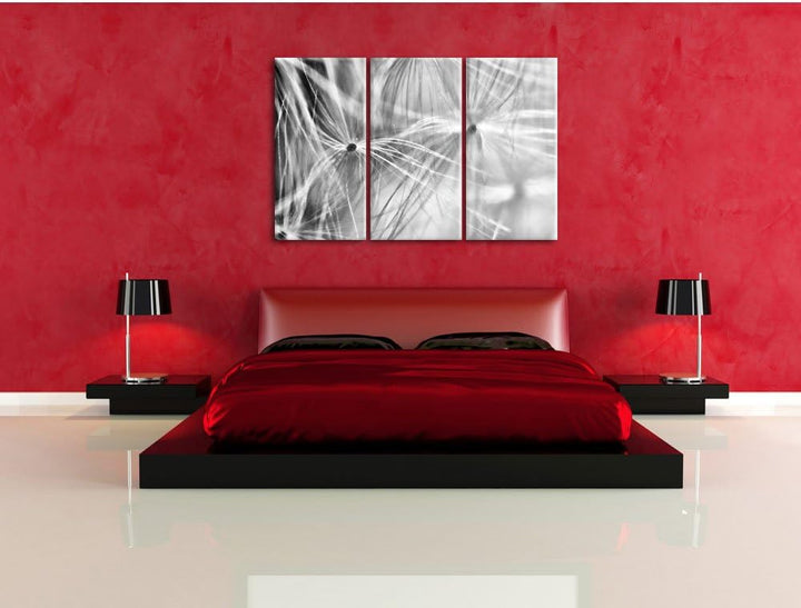 Pixxprint zarte Pusteblumenpollen als Leinwandbild/Grösse: 3 Teilig (120x80) cm/Wandbild/Kunstdruck/