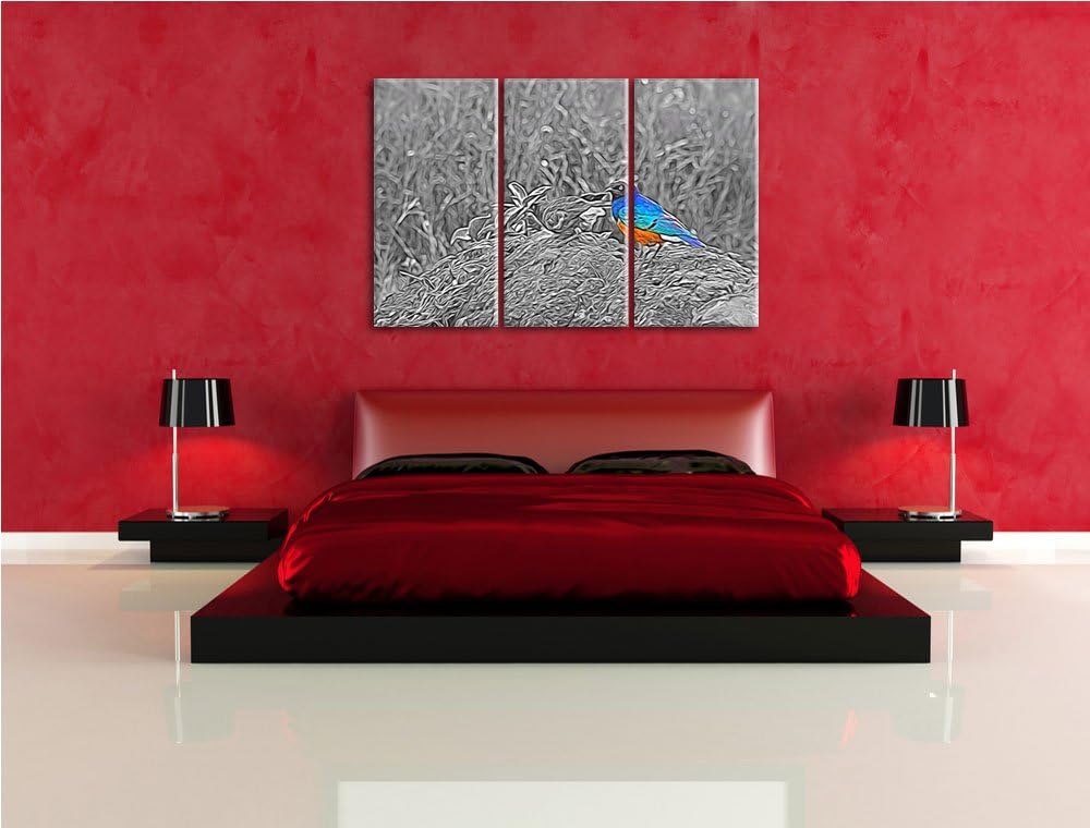 prächtige Dreifarben-Glanzstare auf einem Stein schwarz/weiss Spezial 3-Teiler Leinwandbild 120x80 B