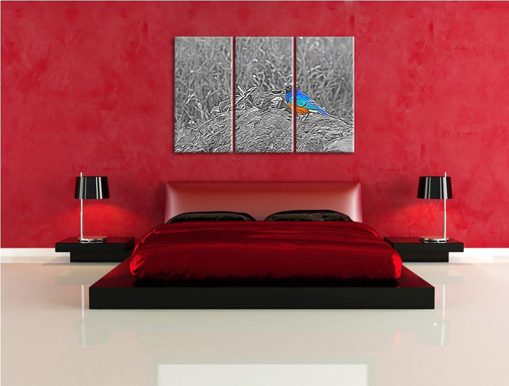 prächtige Dreifarben-Glanzstare auf einem Stein schwarz/weiss Spezial 3-Teiler Leinwandbild 120x80 B