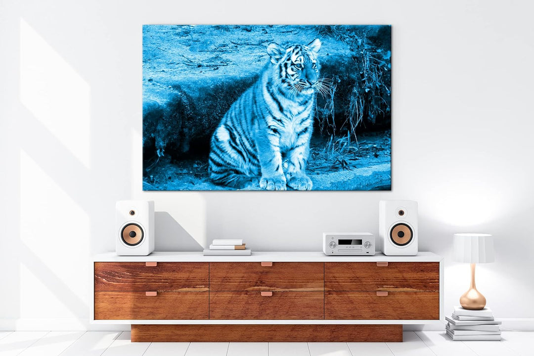 deyoli niedliches Tiger Jungtier Format 80x60 Effekt: Monocrome Blau als Leinwandbild, Motiv fertig