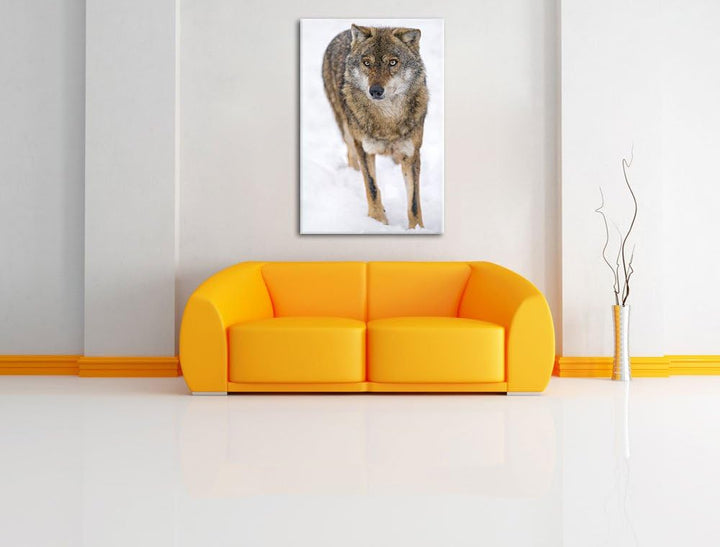 Pixxprint Wolf in Schneelandschaft auf Leinwand, XXL riesige Bilder fertig gerahmt mit Keilrahmen, K