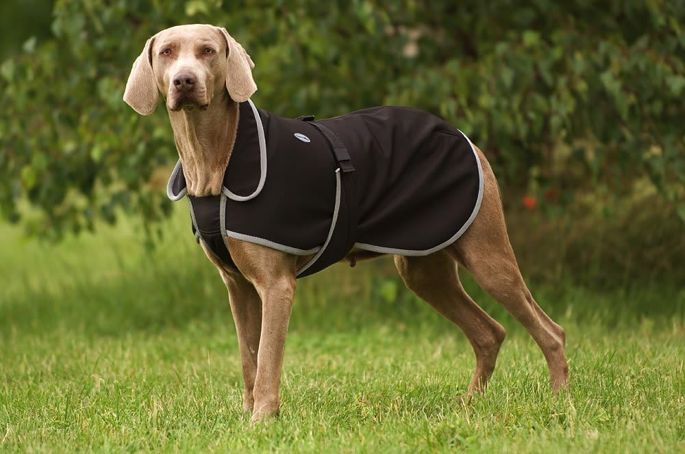 Equi-Theme/Equit'M Soft Shell Hundeteppich 70 cm/28-Inch Black/Grey Binding/Black Lining, 70 cm/28-I