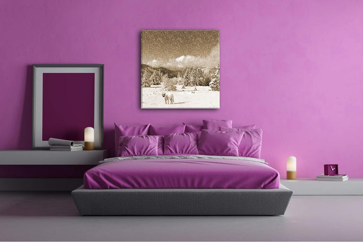 deyoli Tiger im Schneesturm Format: 60x60 Effekt: Sepia als Leinwandbild, Motiv auf Echtholzrahmen,