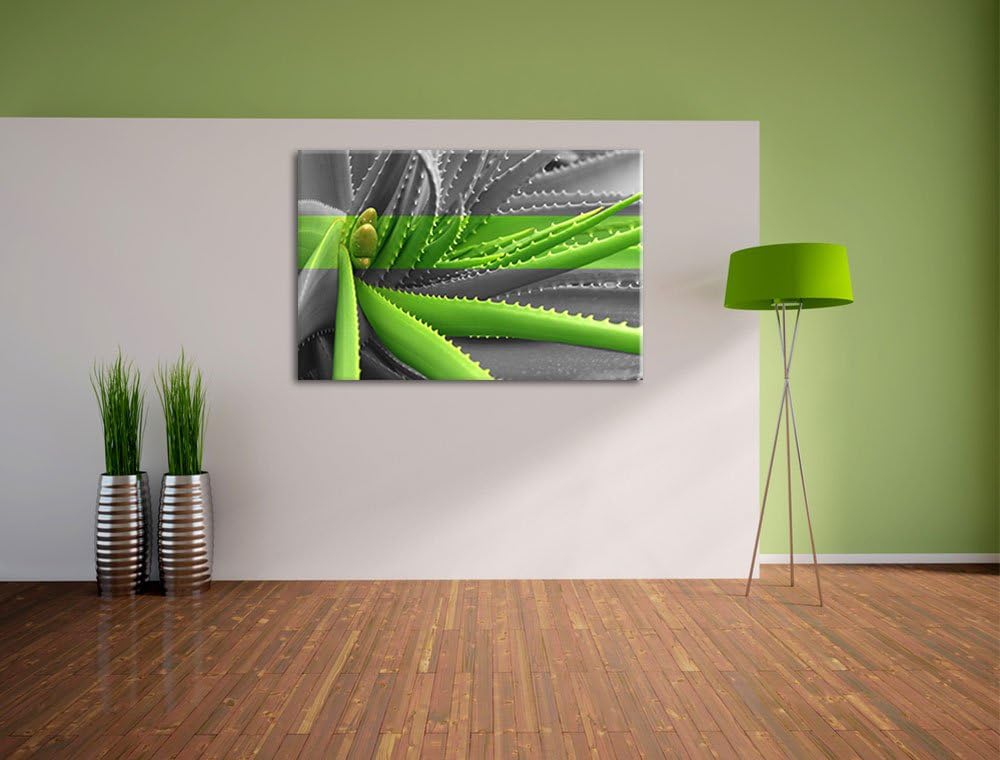 grüne Aloe Vera Pflanze schwarz/weiss Format: 100x70 auf Leinwand, XXL riesige Bilder fertig gerahmt