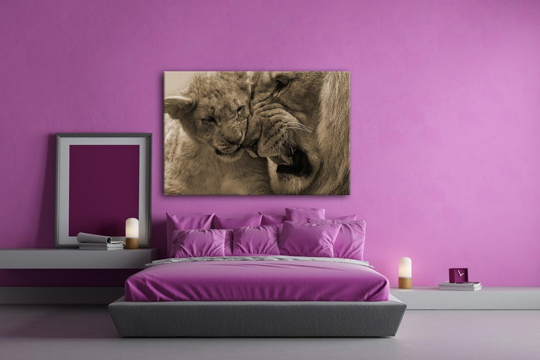 deyoli wilde Löwen Format: 80x60 Effekt: Sepia als Leinwandbild, Motiv fertig gerahmt auf Echtholzra