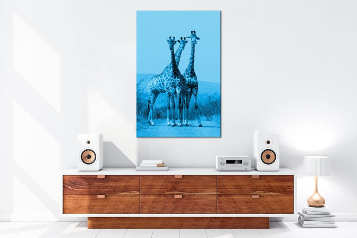 deyoli süsse Giraffen Format: 100x70 Effekt: Monocrome Blau als Leinwand, Motiv fertig gerahmt auf E