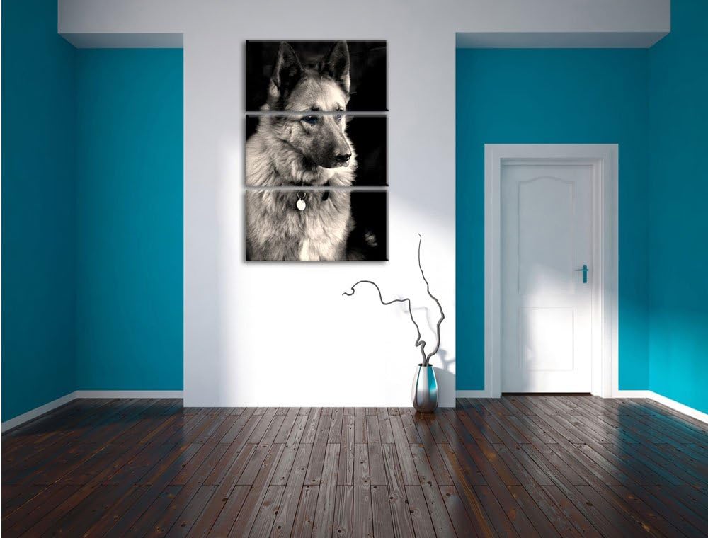 Pixxprint Zwei Hunde auf dem Teppich als Leinwandbild/Grösse: 3 Teilig (120x80 cm) cm/Wandbild/Kunst