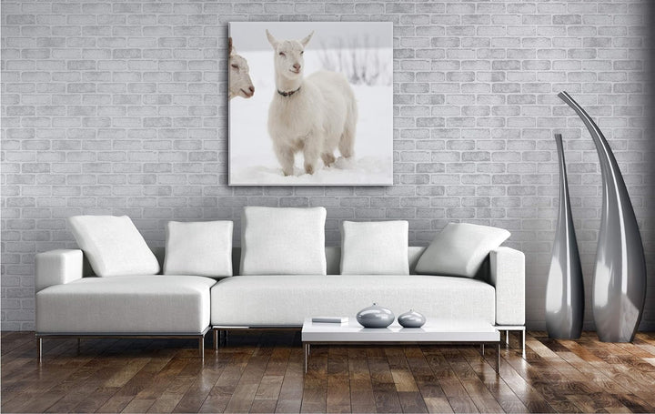 deyoli weisse Ziegen im Schnee Format: 70x70 als Leinwand, Motiv fertig gerahmt auf Echtholzrahmen,
