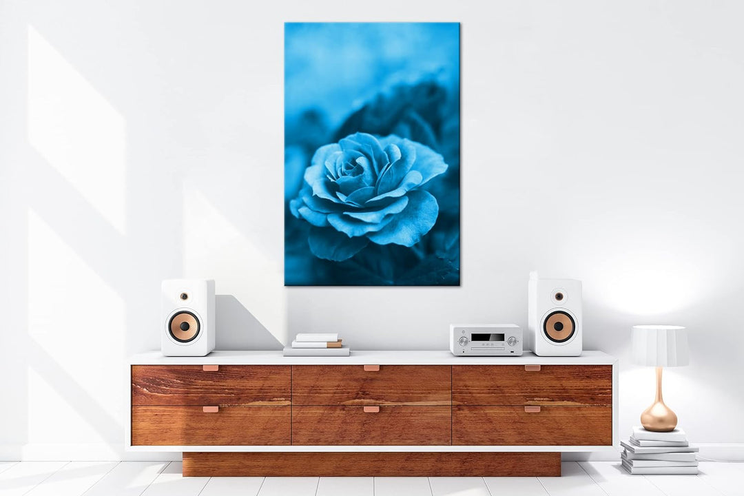 deyoli Rosarote Rosen Format: 60x40 Effekt: Monocrome Blau als Leinwand, Motiv fertig gerahmt auf Ec