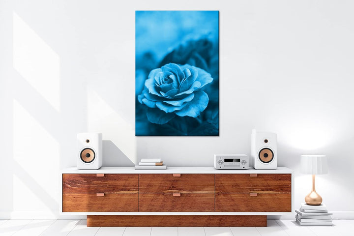 deyoli Rosarote Rosen Format: 60x40 Effekt: Monocrome Blau als Leinwand, Motiv fertig gerahmt auf Ec