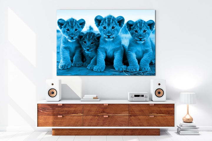 deyoli Löwenjungen in Afrika Format: 80x60 cm Effekt: Monocrome Blau als Leinwandbild, Motiv fertig