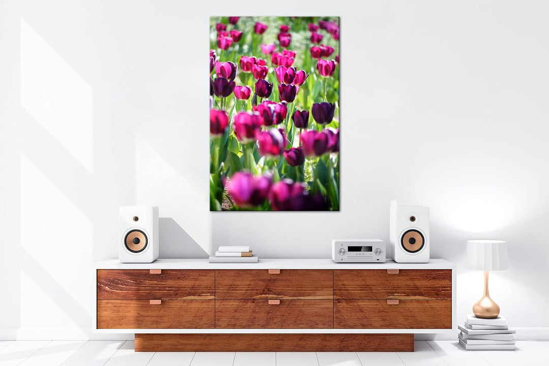 deyoli violette Tulpen Format: 80x60 als Leinwand, Motiv fertig gerahmt auf Echtholzrahmen, Hochwert