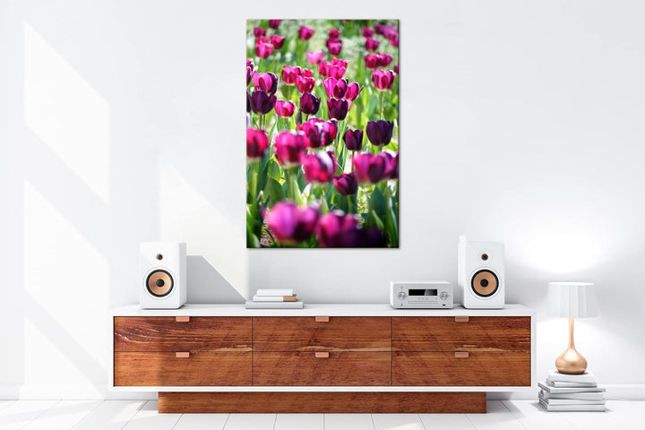deyoli violette Tulpen Format: 80x60 als Leinwand, Motiv fertig gerahmt auf Echtholzrahmen, Hochwert