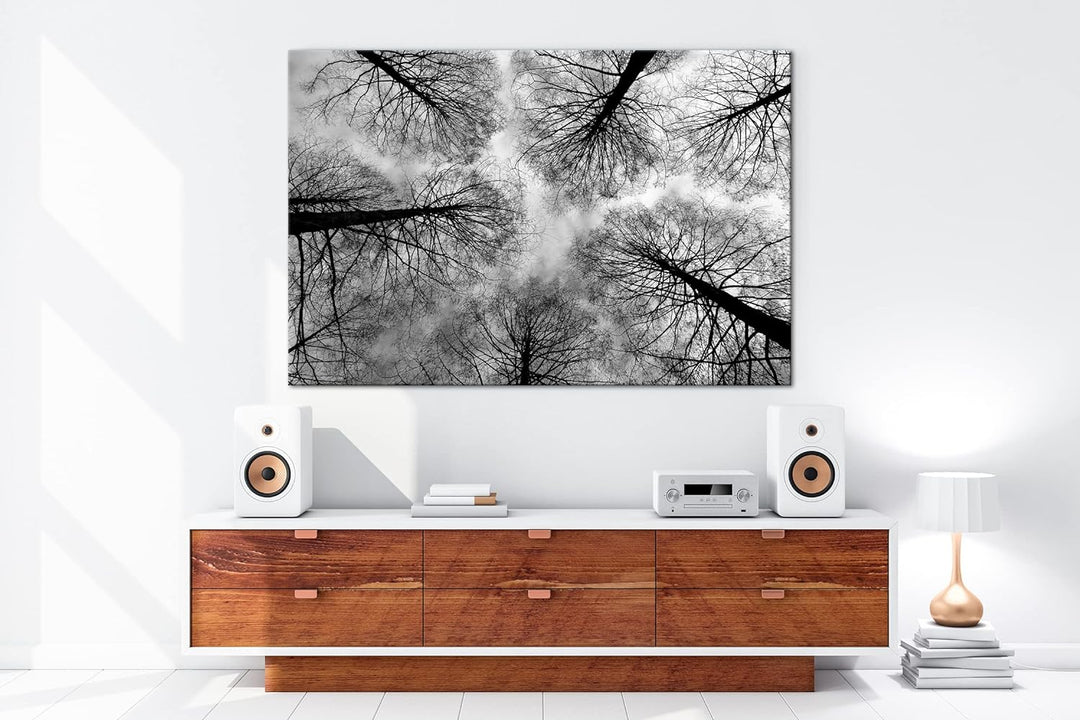 deyoli riessige Baumkronen im Herbst Format: 80x60 als Leinwand, Effekt: Schwarz&Weiss, Motiv fertig