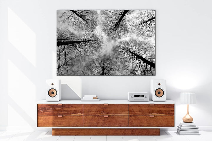 deyoli riessige Baumkronen im Herbst Format: 80x60 als Leinwand, Effekt: Schwarz&Weiss, Motiv fertig
