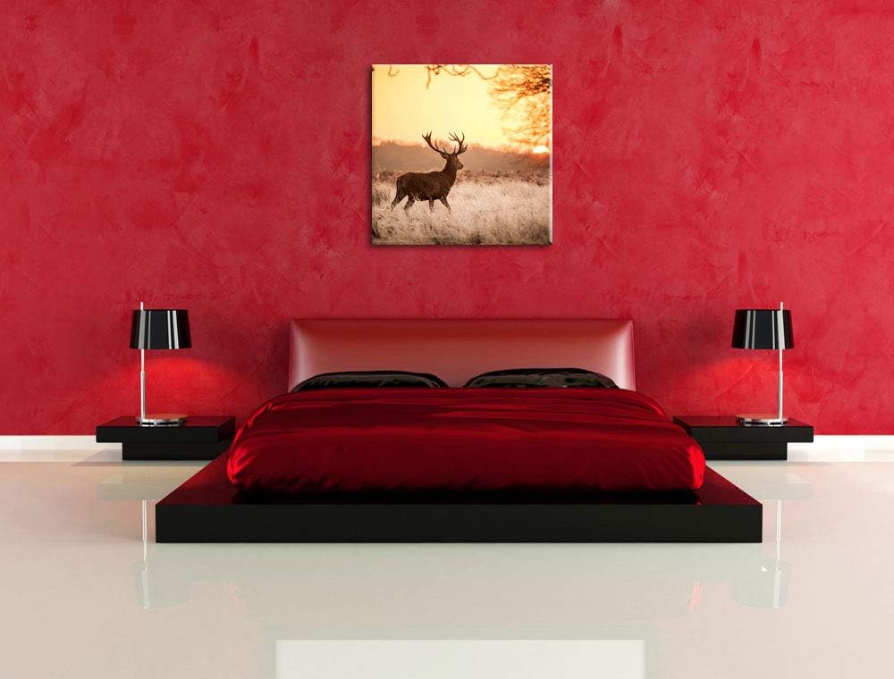 Hirsch im Sonnenuntergang, Format: 70x70 auf Leinwand, XXL riesige Bilder fertig gerahmt mit Keilrah