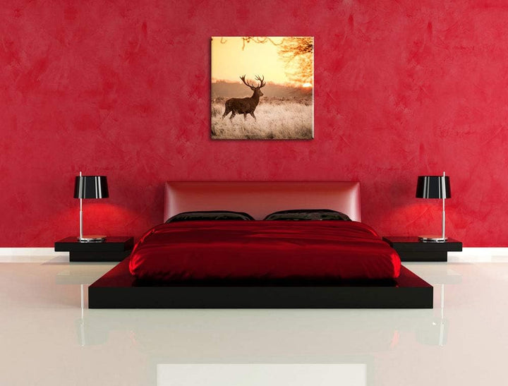 Hirsch im Sonnenuntergang, Format: 70x70 auf Leinwand, XXL riesige Bilder fertig gerahmt mit Keilrah