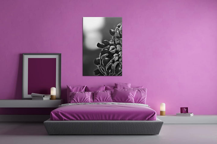 deyoli Südliche Magnolie Stierbucht Format: 80x60 Effekt: Schwarz&Weiss als Leinwandbild, Motiv fert