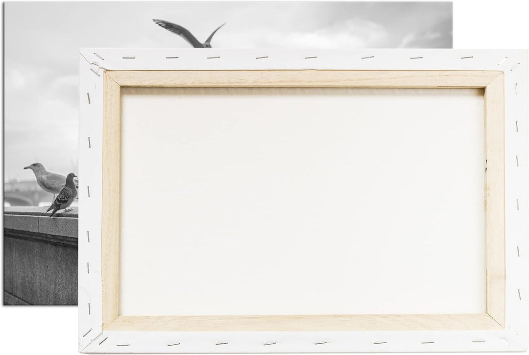 deyoli Tauben in London Format: 80x60 cm Effekt: Schwarz&Weiss als Leinwandbild, Motiv fertig gerahm