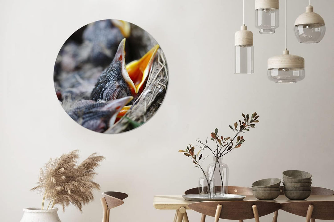 MuchoWow Wandbild Rund Wanddeko Deko Wohnzimmer Bilder 90x90 cm Junge - Robin - Essen, 90x90 cm