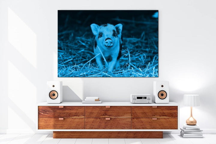 deyoli niedliches Ferkel Format 80x60 Effekt: Monocrome Blau als Leinwandbild, Motiv fertig gerahmt