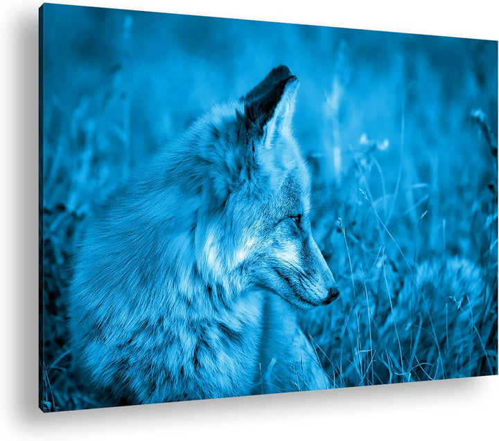 deyoli Kleiner Fuchs im Getreidefeld Format: 80x60 Effekt: Monocrome Blau als Leinwandbild, Motiv fe