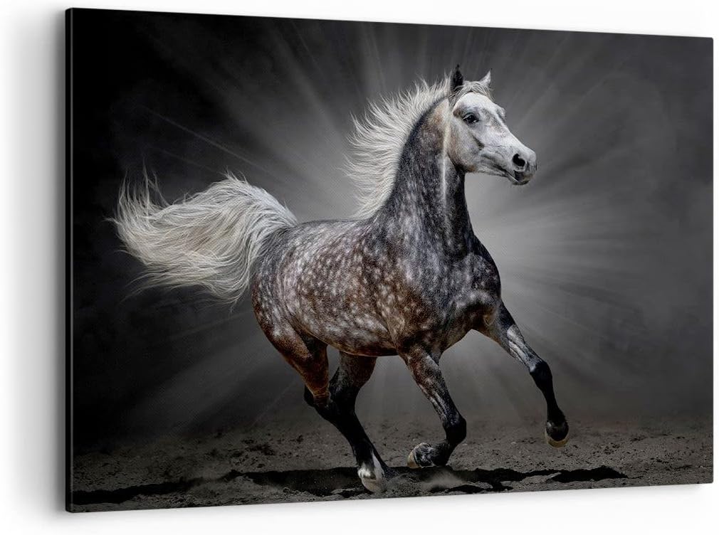 Bilder auf Leinwand 100x70cm Leinwandbild mit Rahmen Pferd Tier Natur Gross Wanddeko Bild Schlafzimm