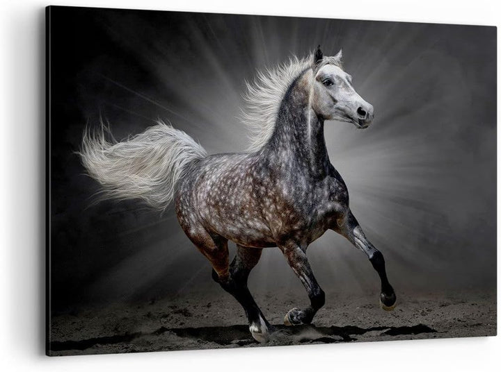 Bilder auf Leinwand 100x70cm Leinwandbild mit Rahmen Pferd Tier Natur Gross Wanddeko Bild Schlafzimm