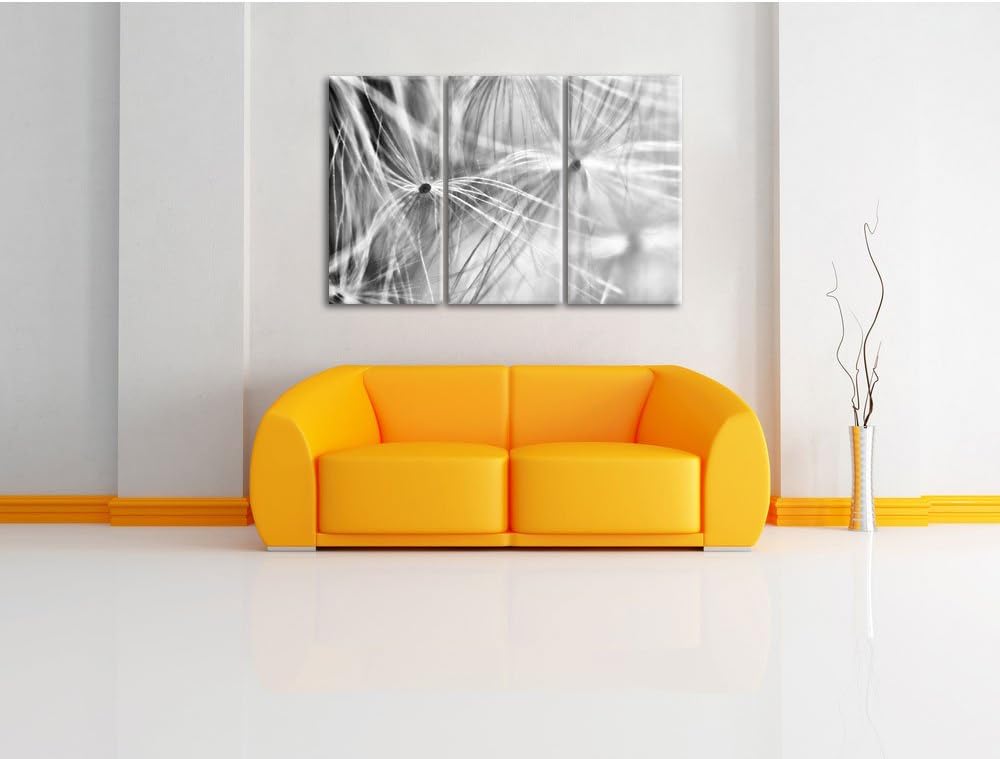 Pixxprint zarte Pusteblumenpollen als Leinwandbild/Grösse: 3 Teilig (120x80) cm/Wandbild/Kunstdruck/
