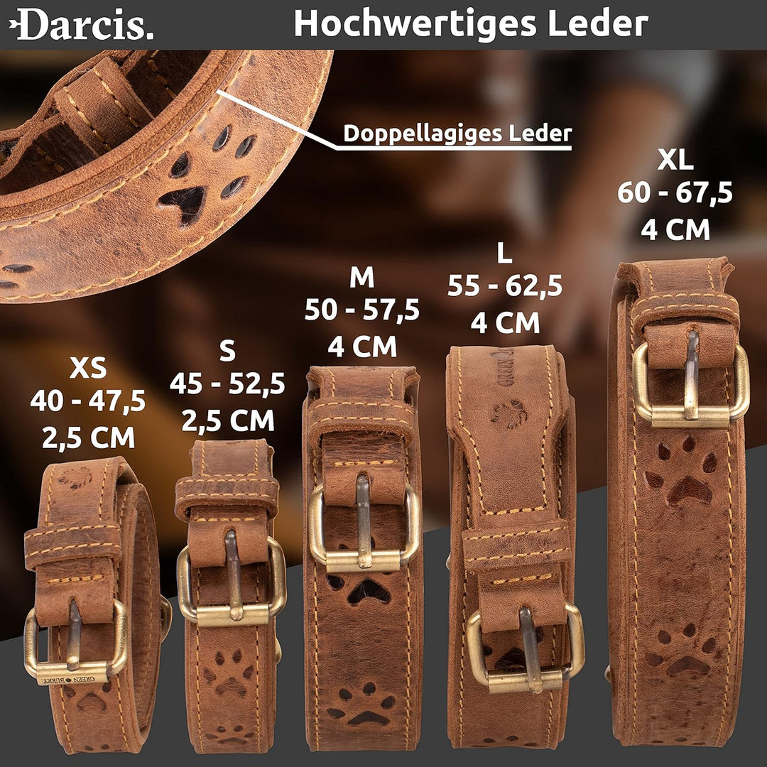 Darcis Hundehalsband Braun - Extrem Robustes Lederhalsband aus hochwertigem Rindsleder - Ideal für S