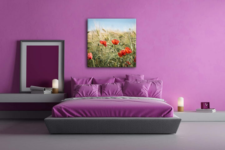 deyoli zarte Mohnblumen im Getreidefeld Format: 70x70 als Leinwand, Motiv fertig gerahmt auf Echthol