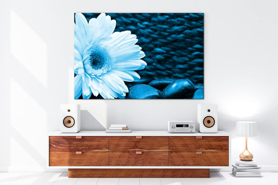 deyoli Weisse Gerbera Format: 80x60 Effekt: Monocrome Blau als Leinwandbild, Motiv fertig gerahmt au