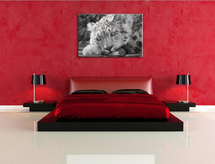 ruhender Schneeleopard Deluxe Format: 100x70 cm auf Leinwand, XXL riesige Bilder fertig gerahmt mit