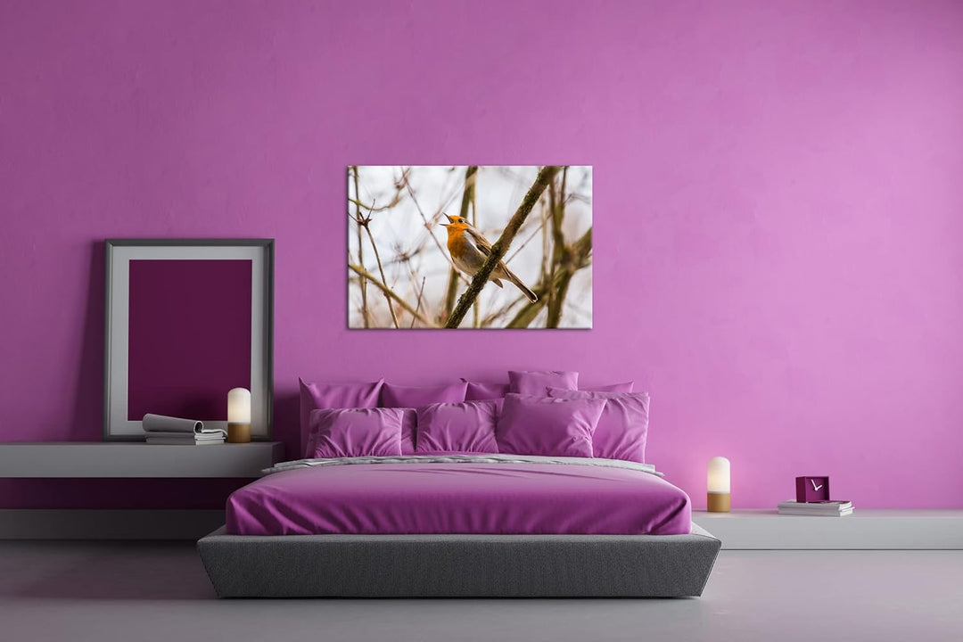 deyoli singendes Rotkehlchen Format: 80x60 als Leinwandbild, Motiv fertig gerahmt auf Echtholzrahmen