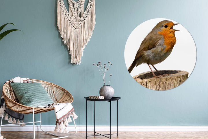 MuchoWow Wandbild Rund Wanddeko Deko Wohnzimmer Bilder 90x90 cm Rotkehlchen - Vogel - Holz, 90x90 cm