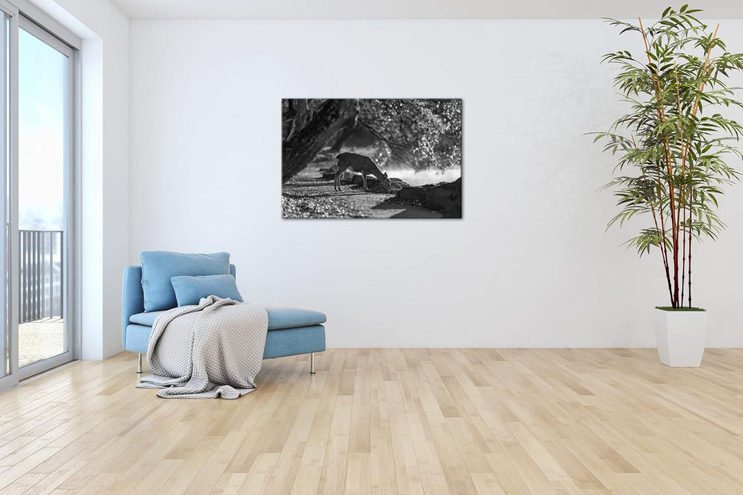 deyoli scheues Reh Format: 80x60 Effekt: Schwarz&Weiss als Leinwandbild, Motiv fertig gerahmt auf Ec