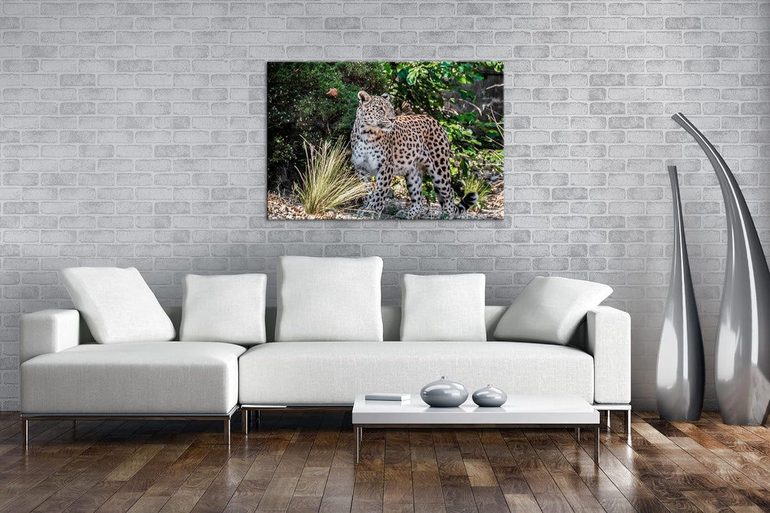 deyoli majestätischer Leopard Format: 100x70 als Leinwand, Motiv fertig gerahmt auf Echtholzrahmen,