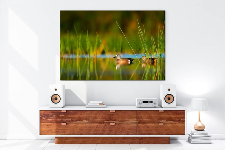 deyoli ruhige Enten auf einem See Format: 100x70 als Leinwand, Motiv fertig gerahmt auf Echtholzrahm