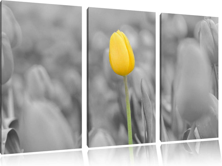 Gelbes Tulpenmeer schwarz/weiss 3-Teiler Leinwandbild 120x80 Bild auf Leinwand, XXL riesige Bilder f