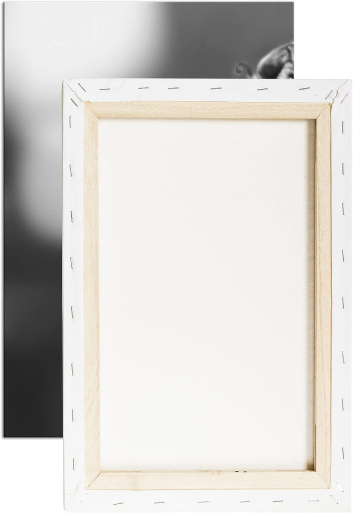 deyoli Südliche Magnolie Stierbucht Format: 80x60 Effekt: Schwarz&Weiss als Leinwandbild, Motiv fert