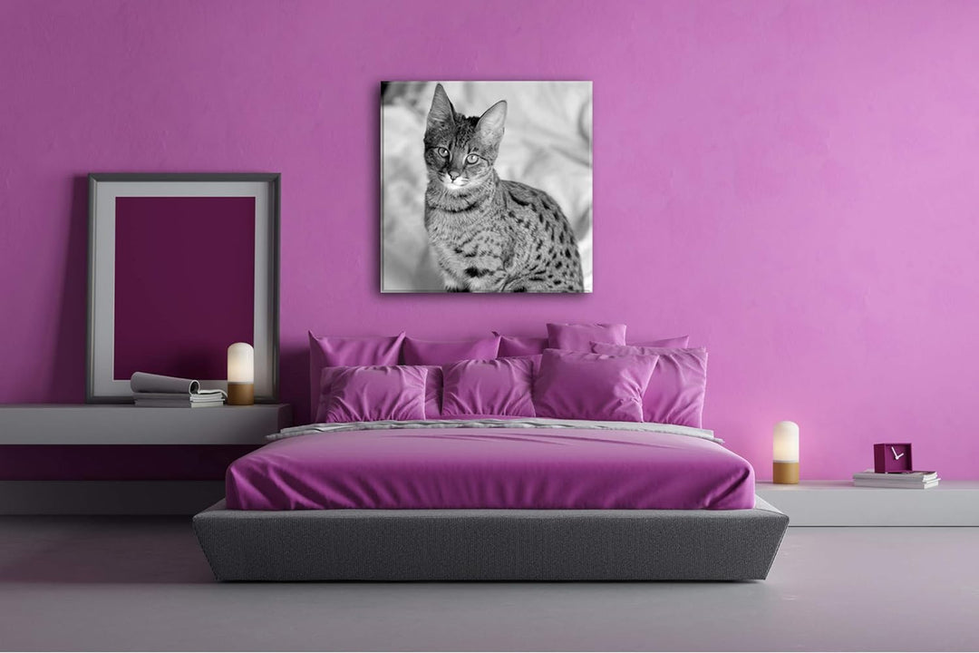 deyoli süsse Savannah Katze Format: 70x70 Effekt: Schwarz&Weiss als Leinwandbild, Motiv auf Echtholz