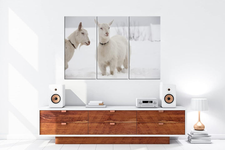 deyoli weisse Ziegen im Schnee Format: 3-teilig 120x80 als Leinwand, Motiv fertig gerahmt auf Echtho