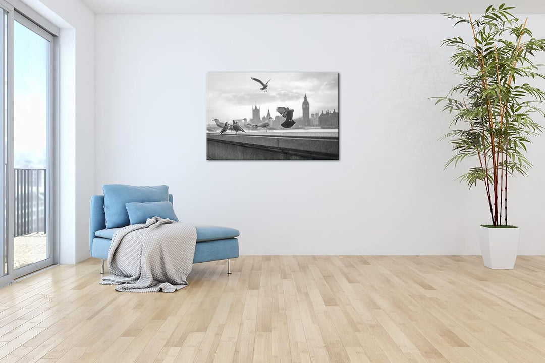 deyoli Tauben in London Format: 80x60 cm Effekt: Schwarz&Weiss als Leinwandbild, Motiv fertig gerahm